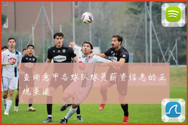 查询意甲各球队球员薪资信息的正规渠道