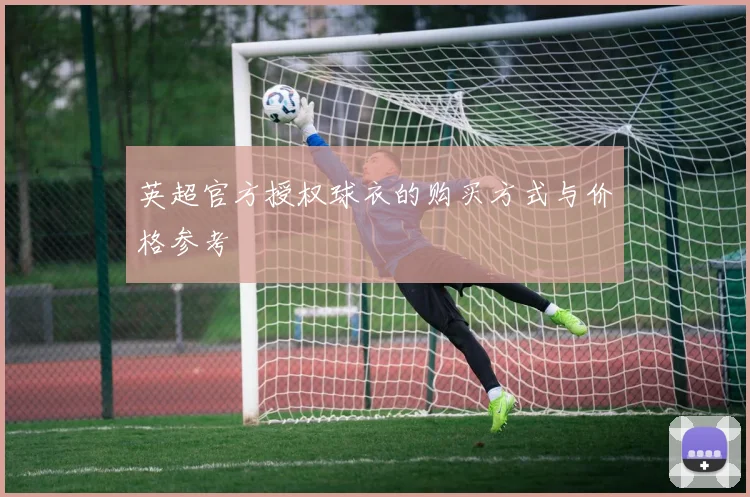英超官方授权球衣的购买方式与价格参考