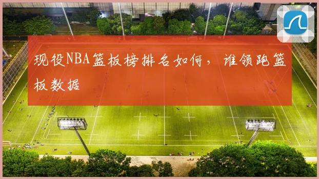 现役NBA篮板榜排名如何，谁领跑篮板数据