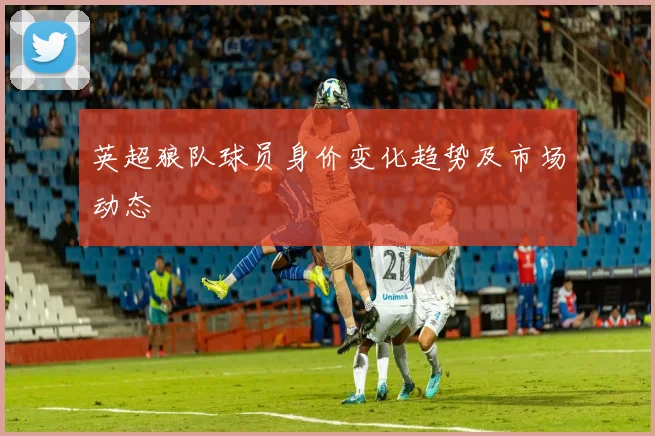 英超狼队球员身价变化趋势及市场动态